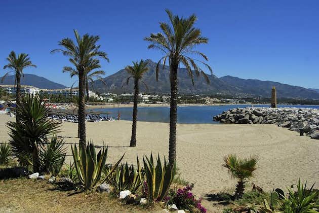 Private Transfer from Marbella to Malaga (AGP) airport
