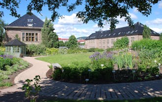 Botanical Garden in Oslo