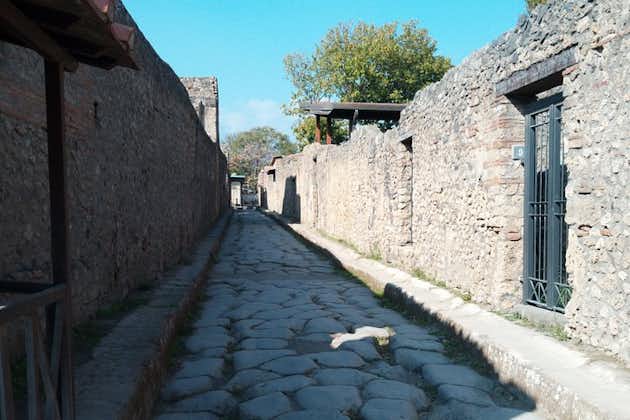 Full-Day Tour to Pompeii, Positano and Amalfi Coast