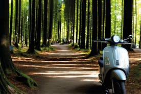 Discovering Chianti: Electric Vespa tour and Truffle Hunt with Dinner