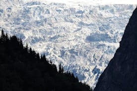 Fjord- en gletsjertour - van VOSS