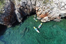 Excursion d'aventure en paddle à KRK. SUP Tour: Risika ~ Grottes de Petrinja