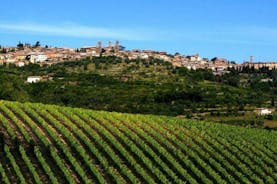 Private tour Wine and cheese a perfect combinations val 'Orcia
