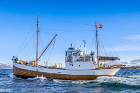 Avventura di pesca di mezza giornata e crociera nei fiordi da Tromsø in Norvegia