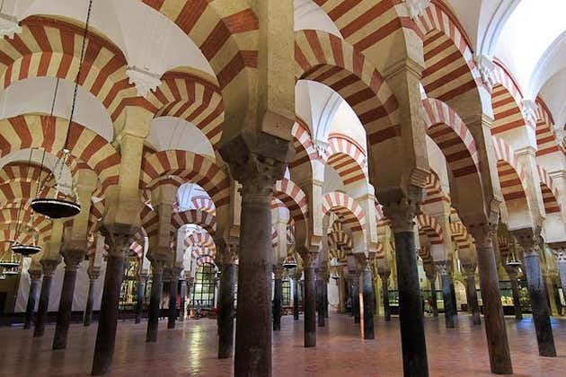 Cordoba private tour from Seville including the great Mosque for up to 8 persons