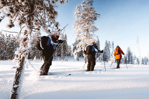 Ski Trekking Safari i Lappland