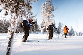 Ski Trekking Safari in Lappland