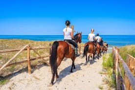 Paardrijden -Avond- in Paros