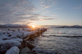 Tour Panoramico per Piccoli Gruppi del Paesaggio Artico con Partenza da Tromsø, in Inverno