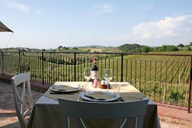 Excursion du rivage de Livourne : visite privée de Chianti et de la campagne toscane avec dégustation de vin