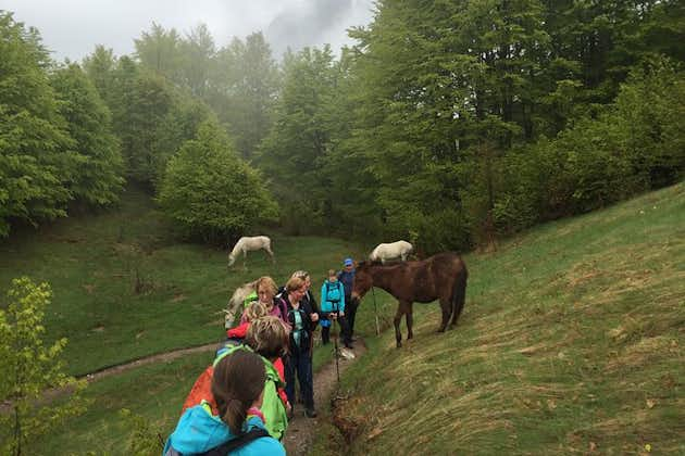 5-daagse wandeltocht naar het noorden van Albanië