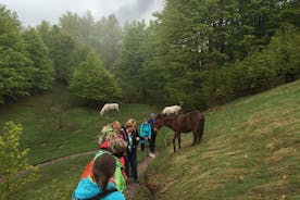 アルバニア北部への5日間のハイキングツアー