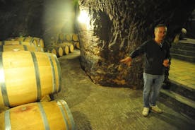 Rondleiding door wijnhuizen Ribera del Duero en wijnproeverij vanuit Madrid