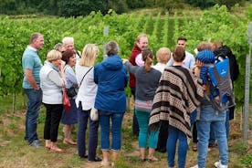 Tasting Unearthed Wine Tour and Explore Vineyard Lunch Included