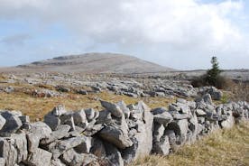 Mullaghmore Private Walk. The Burren, Co Clare. Guided. 2 timer.