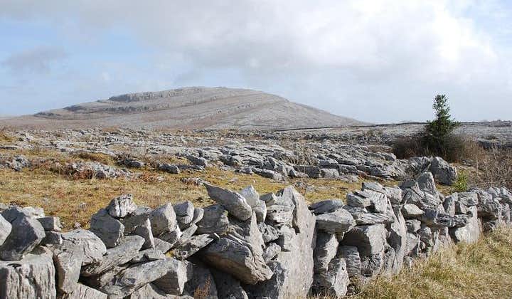 Mullaghmore Private Walk. The Burren, Co Clare. Guided. 2 hours.
