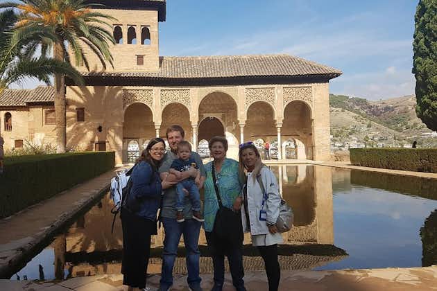 Alhambra hoogtepunten privétour met Nazaries-paleizen