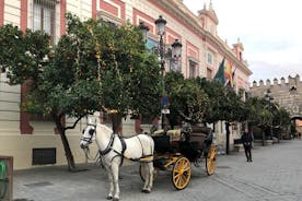 Tour privado en coche de caballos guiado por Sevilla