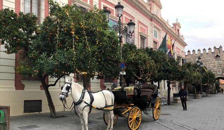 Seville Guided Horse Carriage Private Tour