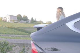 Op maat gemaakte wijntoerisme-excursie in een Tesla uit de regio Bordeaux