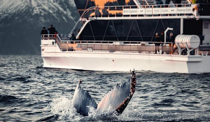 Avistamiento de ballenas silencioso