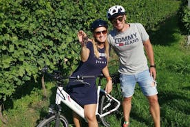 Visite guidée en vélo électrique de 4 heures des deux vignobles de Bardolino