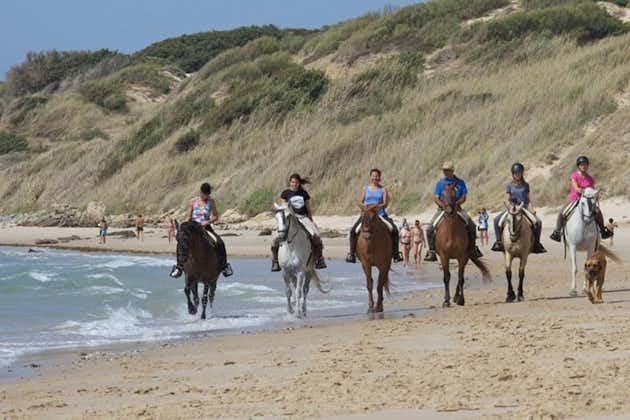 Equitazione in spiaggia o in montagna a Tarifa, in Spagna - da 1 a 2 ore