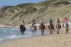 在西班牙塔里法的海滩或山上骑马 - 1 至 2 小时