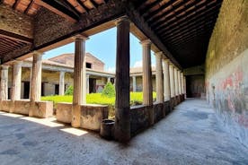 Tour privato di Pompei, Ercolano e Vesuvio da Napoli