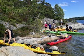 Tour de 1 día en kayak por el archipiélago de Estocolmo para grupos pequeños