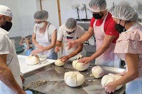 발레아레스 섬의 소그룹 치즈 만들기 및 시음