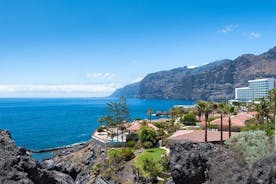 Tenerife Full Island Tour