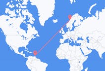 Flyreiser fra St George's, Grenada til Sandnessjøen, Norge