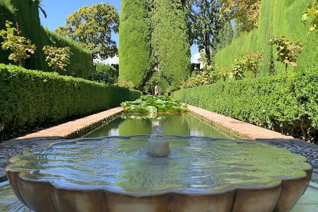 Visita guiada a la Alhambra, Palacios Nazaríes y Generalife