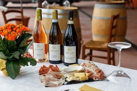 Visite de vignobles et dégustation de vins de Garda à Lazise