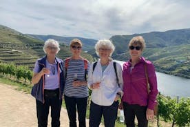 Kleine groepswandeling door de Douro-vallei vanuit Braga inclusief lunch en wijnproeverij