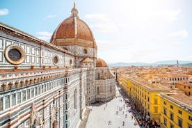 Small Group 3 hrs Florence Walking Tour & Accademia gallery
