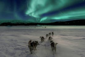 Caccia all'aurora boreale con gli husky