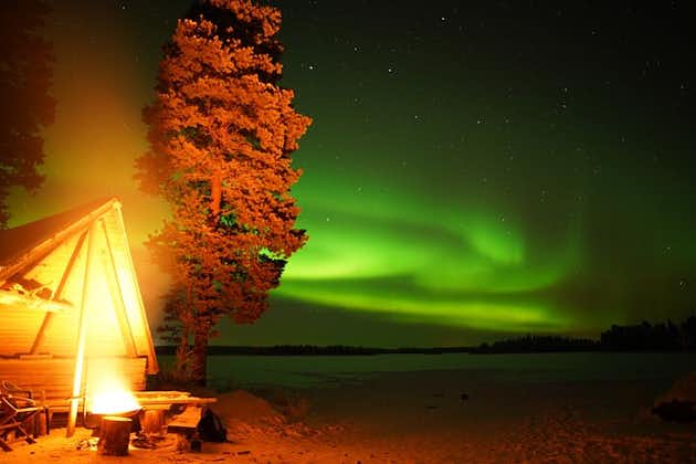 Lappish BBQ and Northern Lights Adventure from Rovaniemi