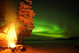 THE NIGHT BARBECUE A call for Auroras