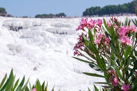 Pamukkale Day Tour from Selcuk