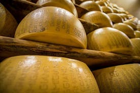 Visita a la fábrica de queso Parmigiano Reggiano y experiencia de degustación