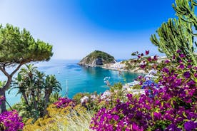 Afternoon Tour of the Island of Ischia by Bus
