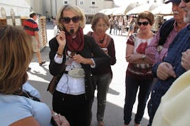 Excursão a pé introdutória para grupos pequenos em Salzburgo com guia do historiador