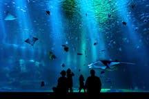 Aquarium tickets in Palermo, Italy