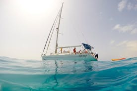 4 小时 - 罗伯斯岛周围的延长私人帆船之旅