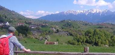 为期4天的喀尔巴阡山脉徒步旅行：Bucegi山脉和Piatra Craiului国家公园