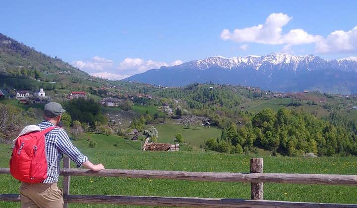Trek de los Cárpatos de 4 días: Montañas Bucegi y Parque Nacional Piatra Craiului