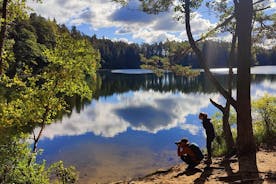 아름다운 에스토니아 자연 반나절 하이킹 투어