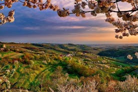 Collio: Cividale del Friuli und Weinproben aus Triest